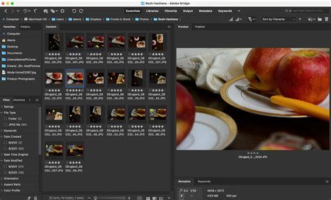 Learn How Adobe Bridge Will Save You Time And Streamline Your Workflow