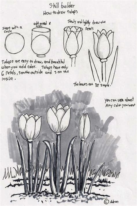 Simple Flower Designs For Pencil Drawing Step By Step ~ Simple Flower