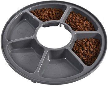 Best 5 Automatic Pet Feeders For Wet Food In 2020 Reviews