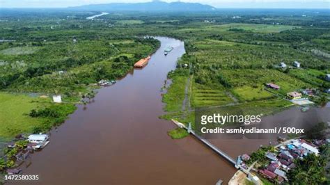 Landak Photos And Premium High Res Pictures Getty Images