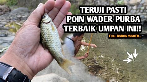 Poin Full Babon Wader Gak Ada Yang Kecil Mancing Wader Pakai Teknik