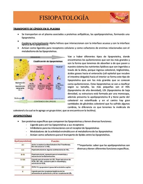 Solution Fisiopatologia Y Dislipidemia Studypool