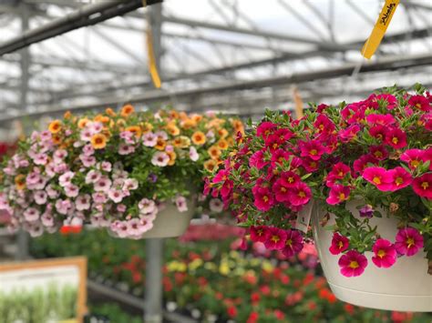 Abele Greenhouse & Garden Center in Saginaw, MI 48601 - (989) 7...