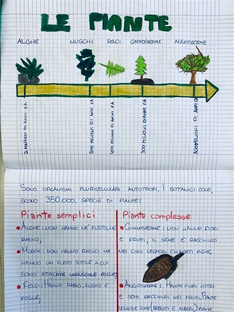 Il Mondo Delle Piante Artofit