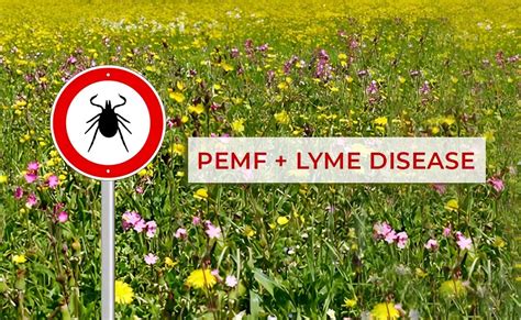 How Pemf Treatment Can Help Lyme Disease