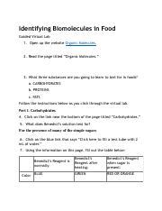 Identifying Biomolecules In Food Pdf Identifying Biomolecules In Food