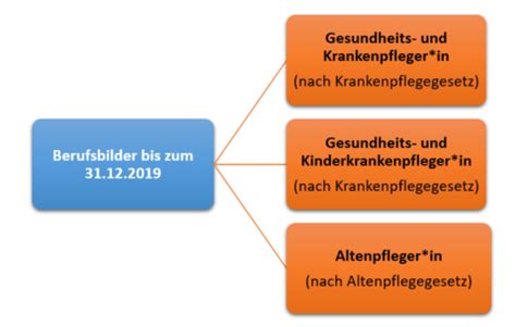 Pflegeberufe In Deutschland Und Das Pflegeberufegesetz Was Ndert