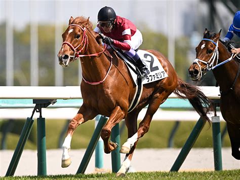 【英彦山特別】ウマ娘・藤田晋オーナーの超高額馬ラファミリア ガラリ一変で2勝目なるかnetkeiba Goo ニュース