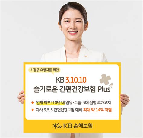 Kb손보 ‘kb 31010 슬기로운 간편건강보험 Plus 출시