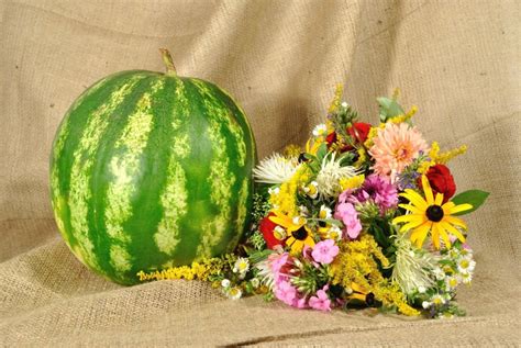 Best Watermelon Companion Plants For Your Garden