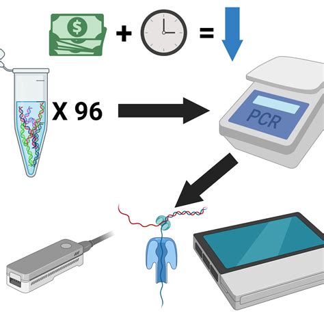 A Streamlined Protocol For High Throughput Amplification Based Analysis