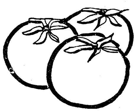 Tomato Outline - ClipArt Best