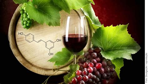 Potente E Consagrado Resveratrol O Antioxidante Do Vinho