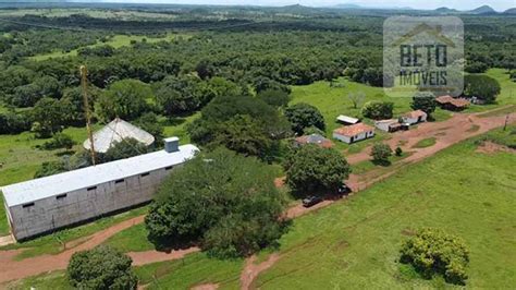 Fazenda Dupla Aptidão c 28 500 hectares e pista de pouso de 1100m