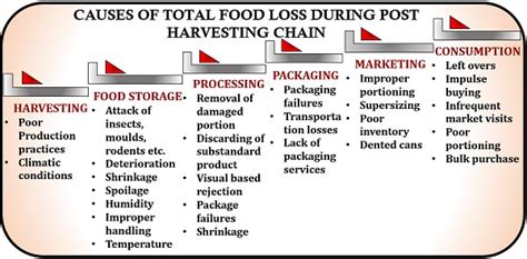 What Is Post Harvest Loss Definition Types Factors And Management