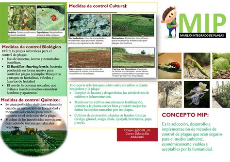 Manejo Integrado De Plagas Mip By Astrid Garnica Sarmiento Issuu