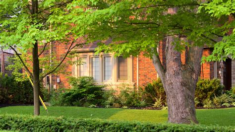 Aprender Acerca Imagen Alquiler De Casas En Ontario Canada