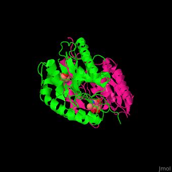 Pyridoxal Kinase Proteopedia Life In 3D