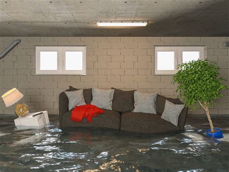 Causes Of Sewer Backup Renotown