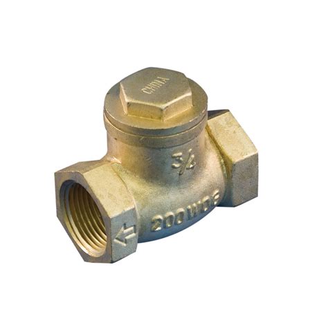 Aqua Dynamic 1 2 200 PSI Threaded Lead Free Brass Swing Check Valve