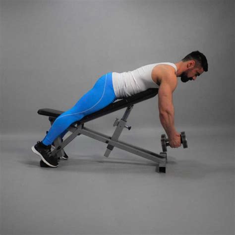 Dumbbell Lying Rear Lateral Raise Fit Drills Website