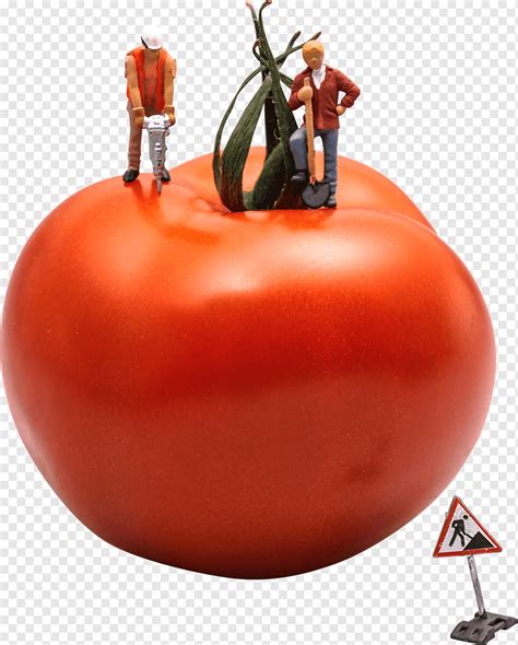 Tomate verduras construcción png PNGWing