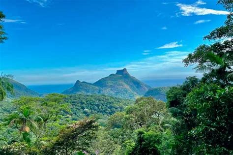 Floresta Da Tijuca Saiba Tudo Antes De Visitar Tourb