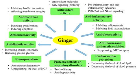 Foods Free Full Text Bioactive Compounds And Bioactivities Of