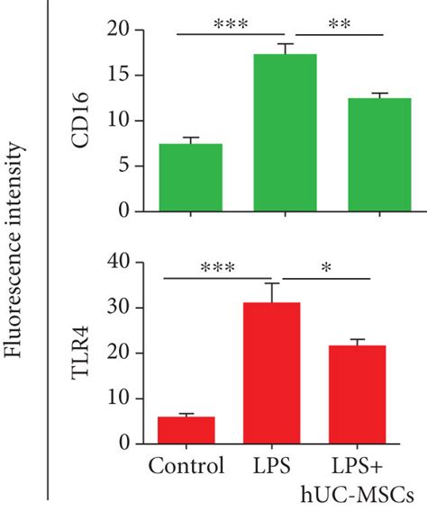 Huc Mscs Modulate Tlr Pathway Related Agents And Proinflammatory