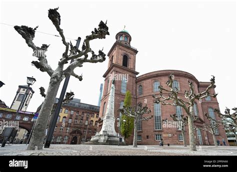 21 April 2023 Hesse Frankfurt Main Plane Trees Stand In Front Of St