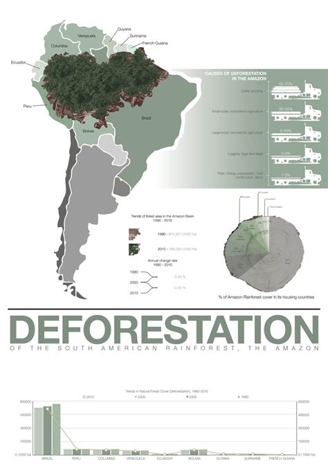 Amazon Deforestation Infographic Poster Amazon Deforestation Rainforest