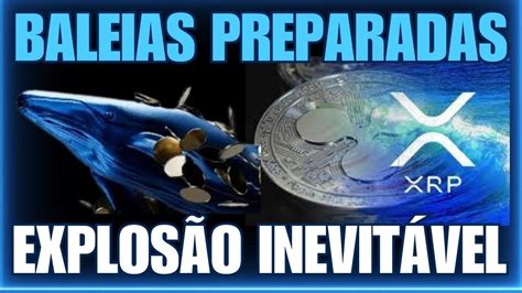 XRP RIPLLE URGENTE BALEIAS PREPARADAS PRA SEGURAR E LEVAR O XRP AOS