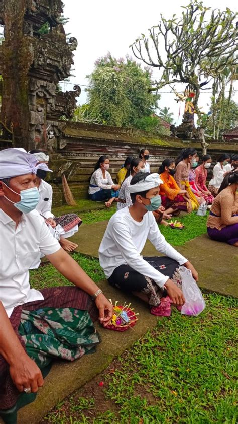 Perayaan Rahina Tumpek Wayang Di Sma Negeri Petang Firstsma