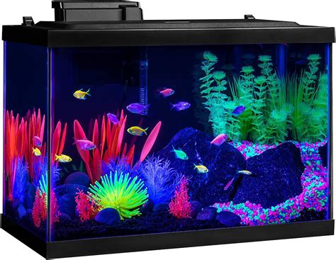 Glofish Tank