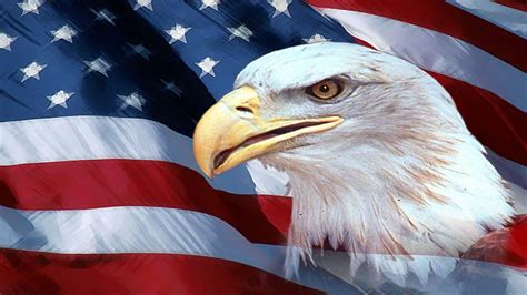 2560x1440 American Flag With Eagle Wallpaper (70+ images) | American ...