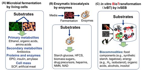 In Vitro BioTransformation IvBT Definitions Opportunities And