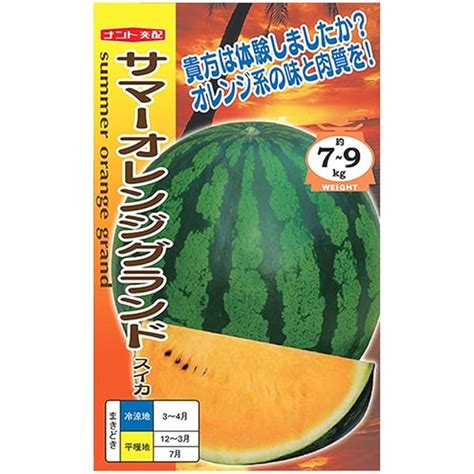 たね ナント種苗 スイカ 種子 羅皇ロング らおうロング 小袋 最大70offクーポン