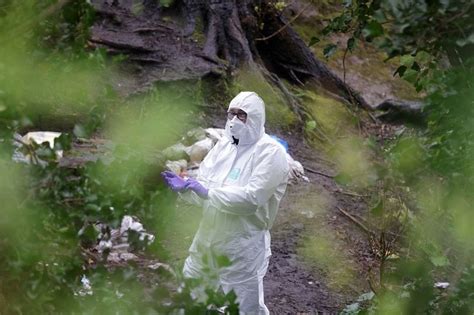 Salford murder investigation sees bin collections suspended as detectives hunt for body parts ...