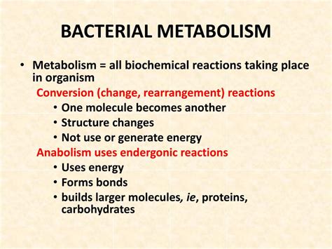 Ppt Microbial Biochemistry Biot 309 2012 Kim And Gadd Chapter 4