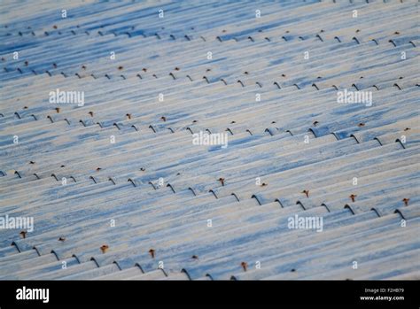 Gray roof tiles Stock Photo - Alamy