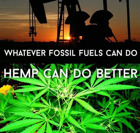 Cbd Hemp Oil Benefits Hemp Cbd Memes