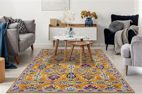 Living Space With Amer Rugs