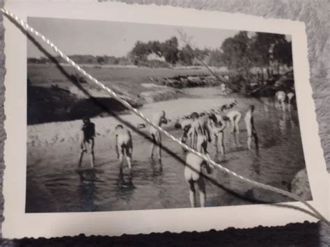 Soldaten Baden Nude Photo Wk Nackt Im Fluss Russland Feldzug Ww