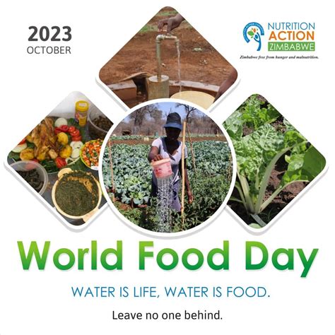 Nutrition Action Zimbabwe On Linkedin Worldfoodday Leavenoonebehind