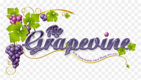 grapevine borders - Clip Art Library