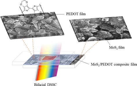 Schematic Illustrations Of The Bifacial Dssc With Mos 2 Pedot Ce Download Scientific Diagram