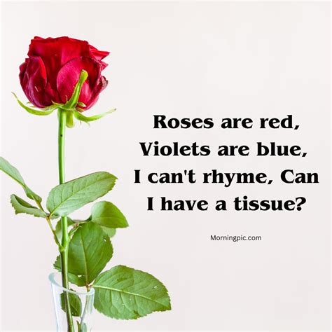 150+ Funny Roses are Red Poems That Will You LOL Too! - Morning Pic HD