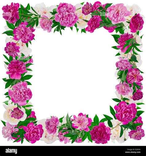 Flowers Picture Frame Online | dakora.com.co