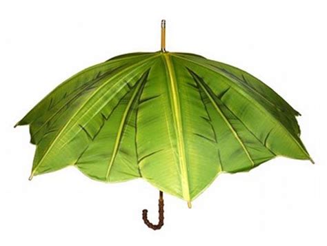 Banana Leaf Umbrella Umbrella Umbrella Designs Rain Umbrella