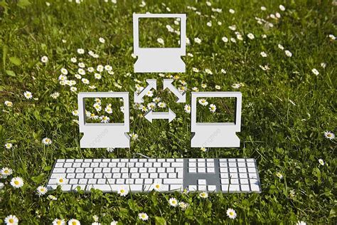 Computer Network In Garden Group Design Organization Photo Background And Picture For Free ...